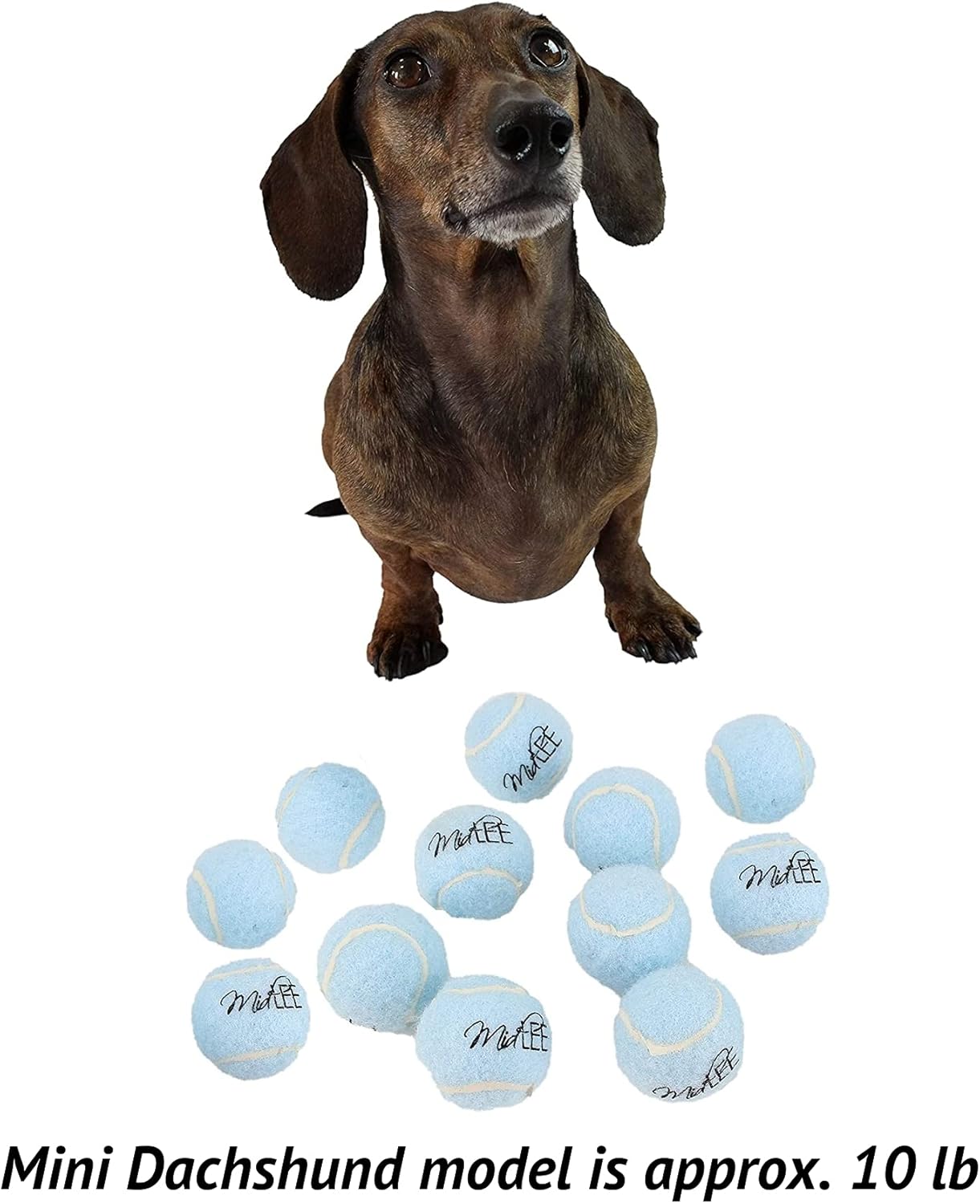 Midlee 1.5"  Mini Squeaky Tennis Ball Set of 12 Blue