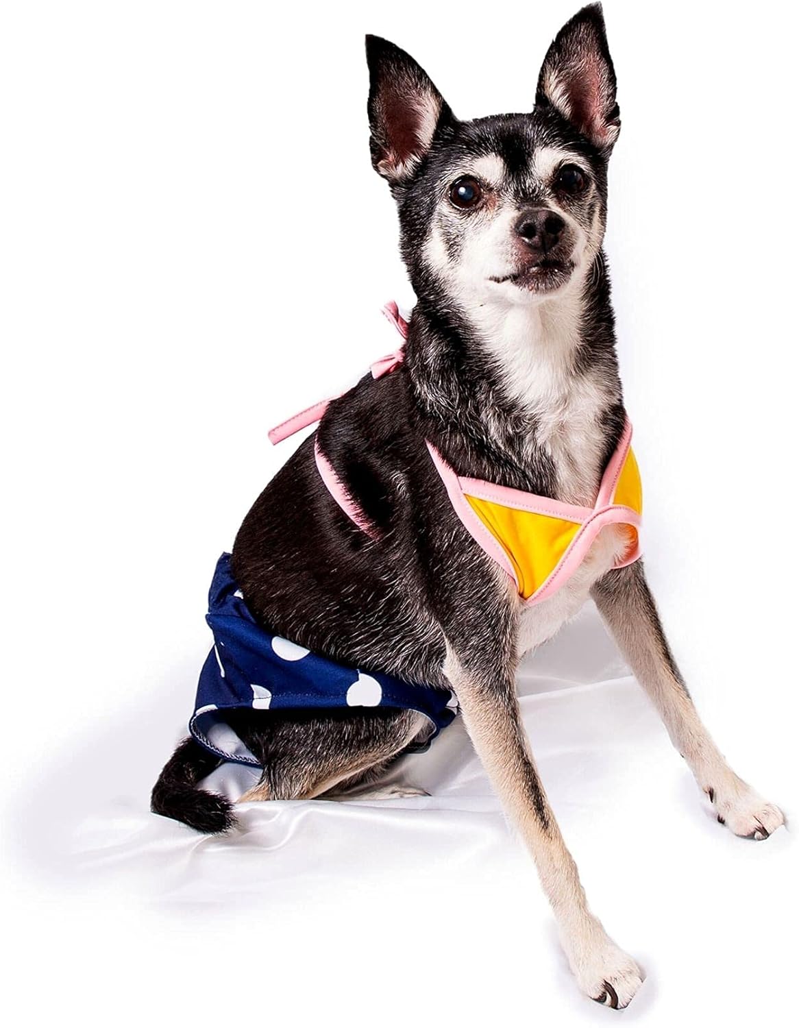 Midlee Yellow & Blue Polka Dot Dog Bikini (Medium)