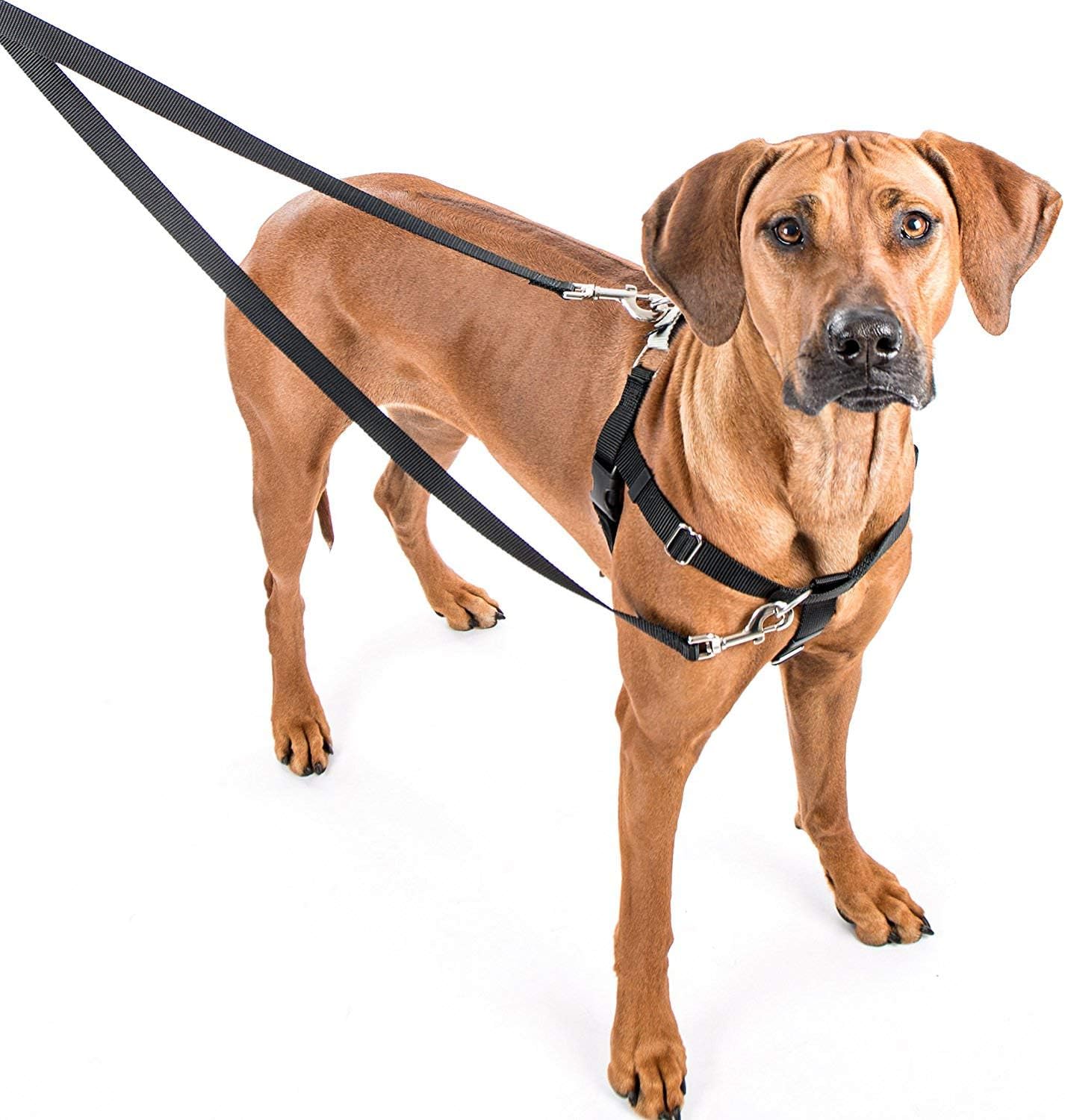 2 Hounds Design Freedom No-Pull Dog Harness with Leash, Large, 1-Inch Wide, Navy