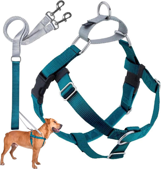 Freedom No-Pull Dog Harness Training Package with Leash, Teal Medium (5/8 wide)