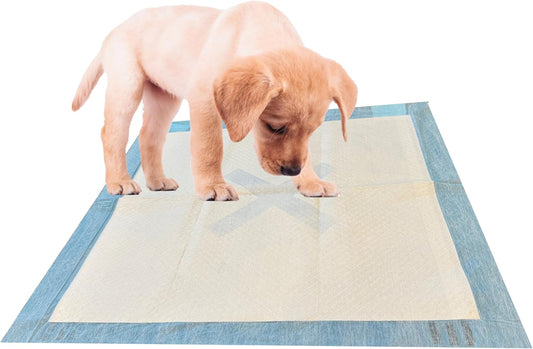 SPOT X Marks The Super Absorbent Pee Pads - 30 Pack (22" x 22")