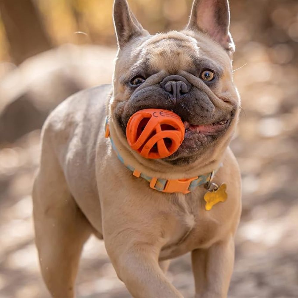Chuckit Breathe Right Fetch Ball - Small(2 Count)
