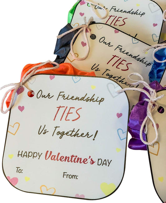 Midlee Our Friendship Ties Us Together Valentine's Card Scrunchies Party Favors- Pack of 12