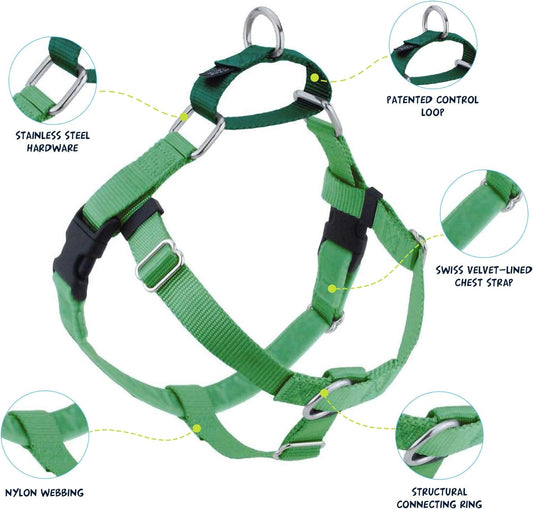 2 Hounds Design Freedom No Pull Dog Harness | Comfortable Control for Easy Walking |Adjustable Dog Harness and Leash Set | Small, Medium & Large Dogs | Made in USA | Solid Colors | 1" LG Neon Green