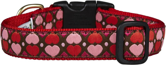 Up Country All Hearts Valentine Dog Collar, Medium