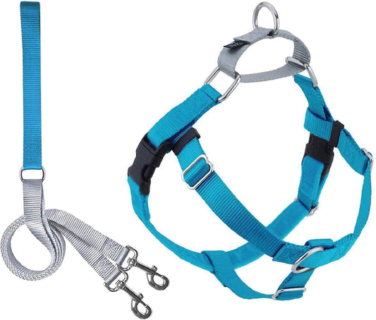 2 Hounds Design Freedom No-Pull Dog Harness Training Package, Large, Turquoise