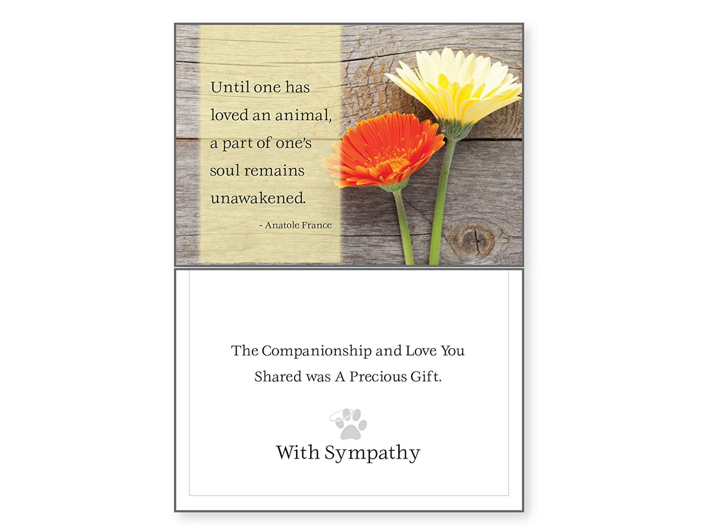 Dog Speak Until One Has Loved An Animal Pet Sympathy Card