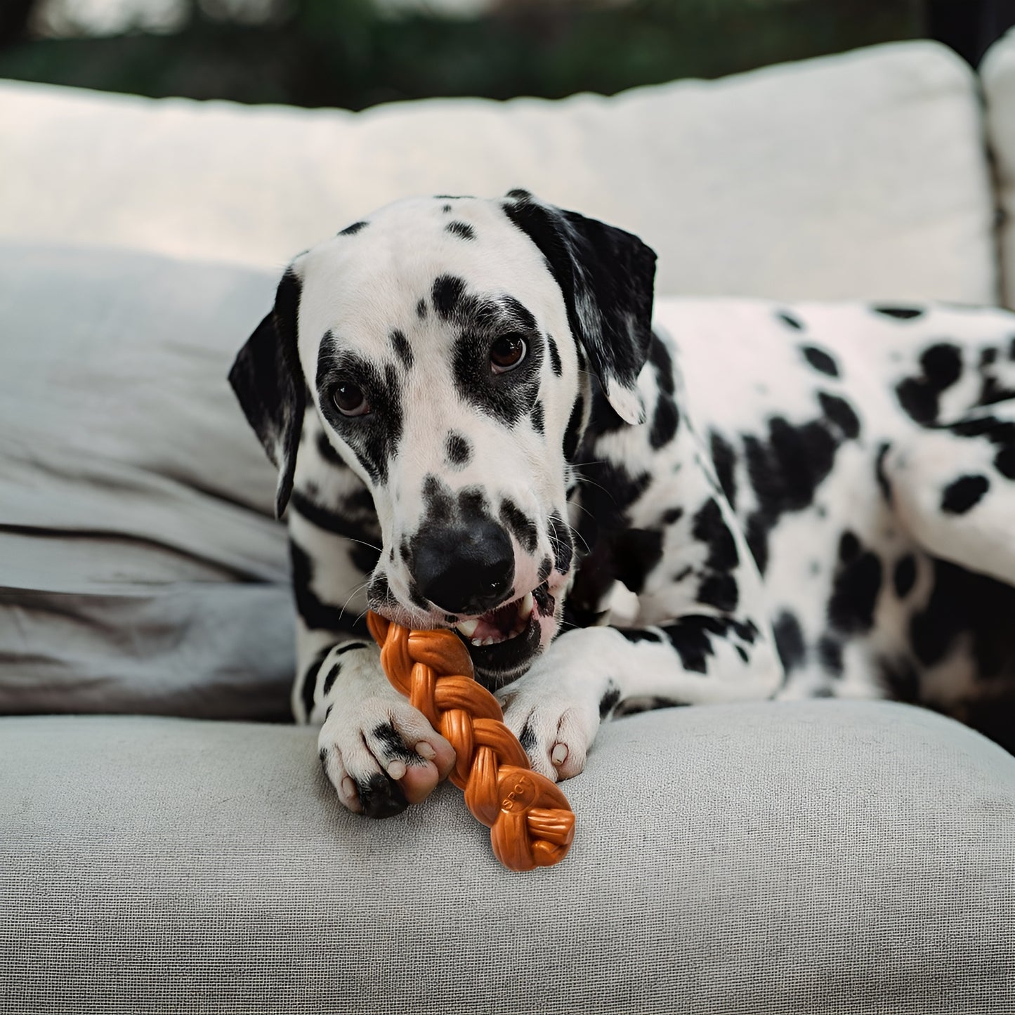 ETHICAL/SPOT Bam-Bone Braided Stick Hickory Dog Chew Toy - 5.75"