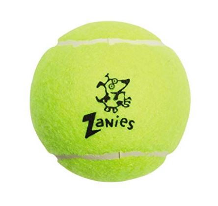 Zanies Puppy Pride Tennis Balls for Dogs, 6-Pk 2.5-Inch Diameter Tennis Balls Match the Rainbow Pride Flag Colors