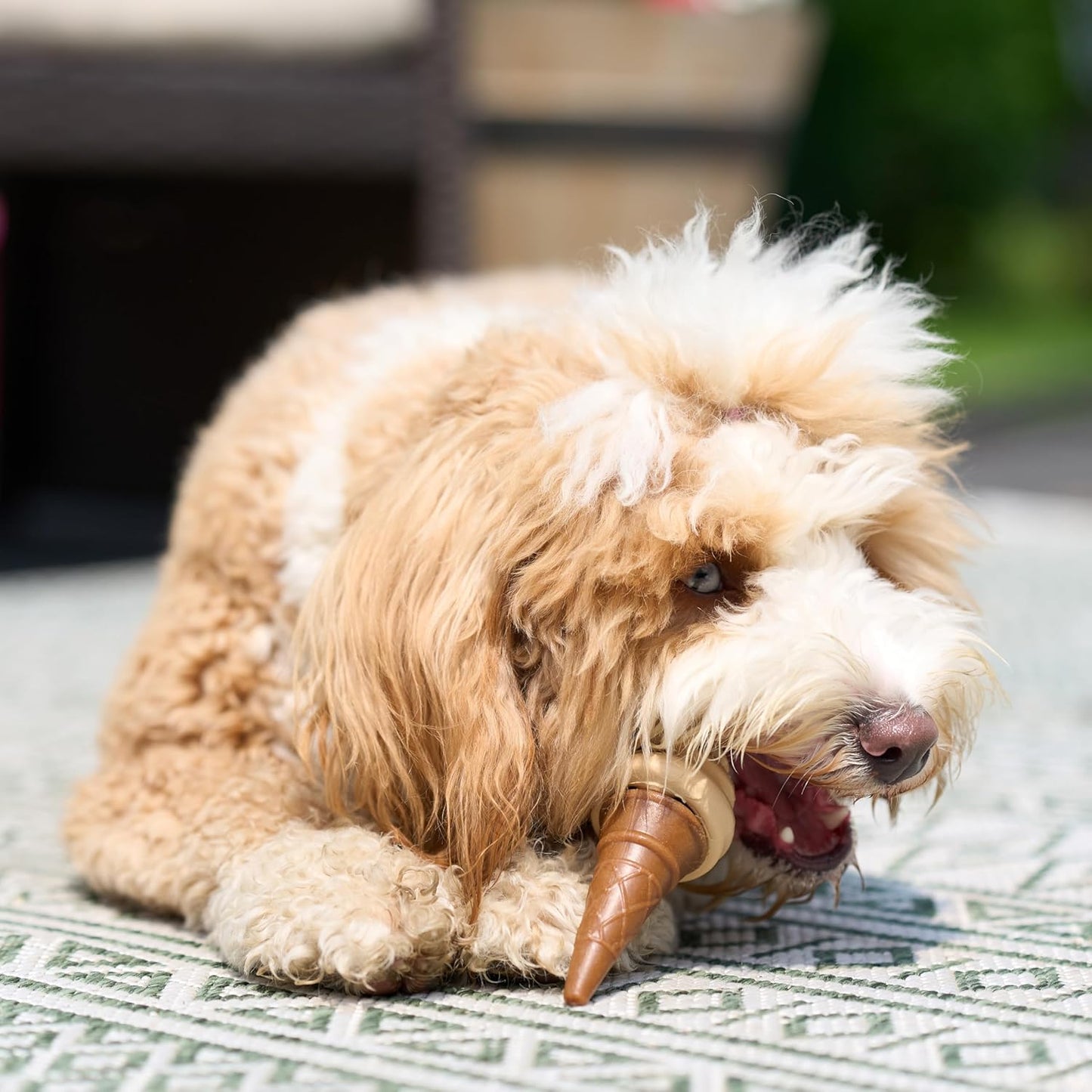 Ethical Pup Ice Freeze-at-Home Dog Chews Treats, Waffle Cone Vanilla and Peanut Flavor