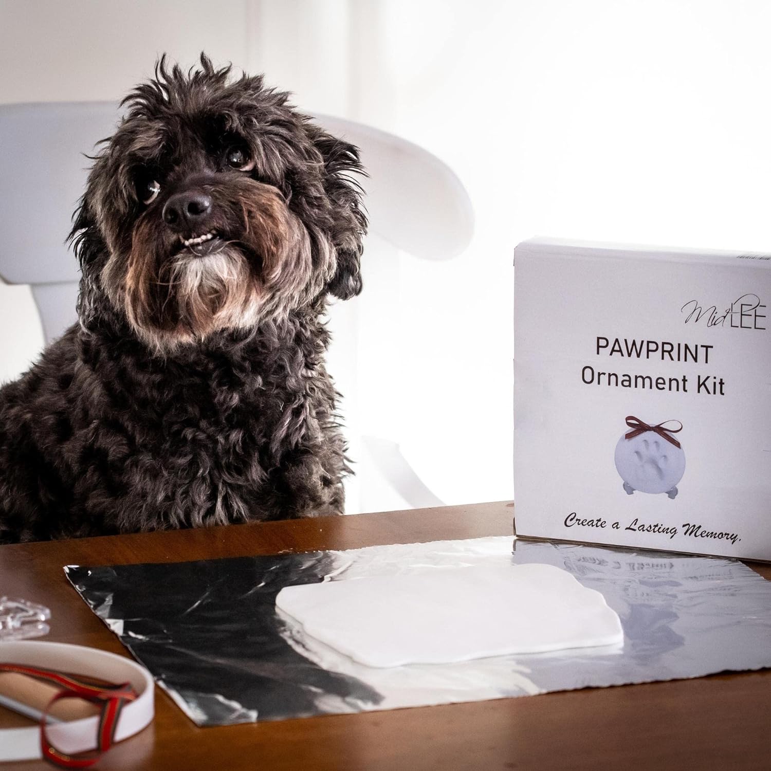 Paw print ornament kit sale