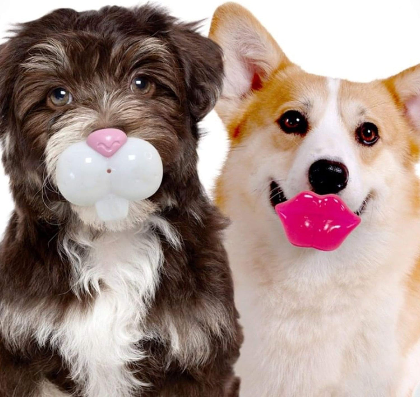 FOUFIT Paci-Chew Chew Toy for Dogs - Lips
