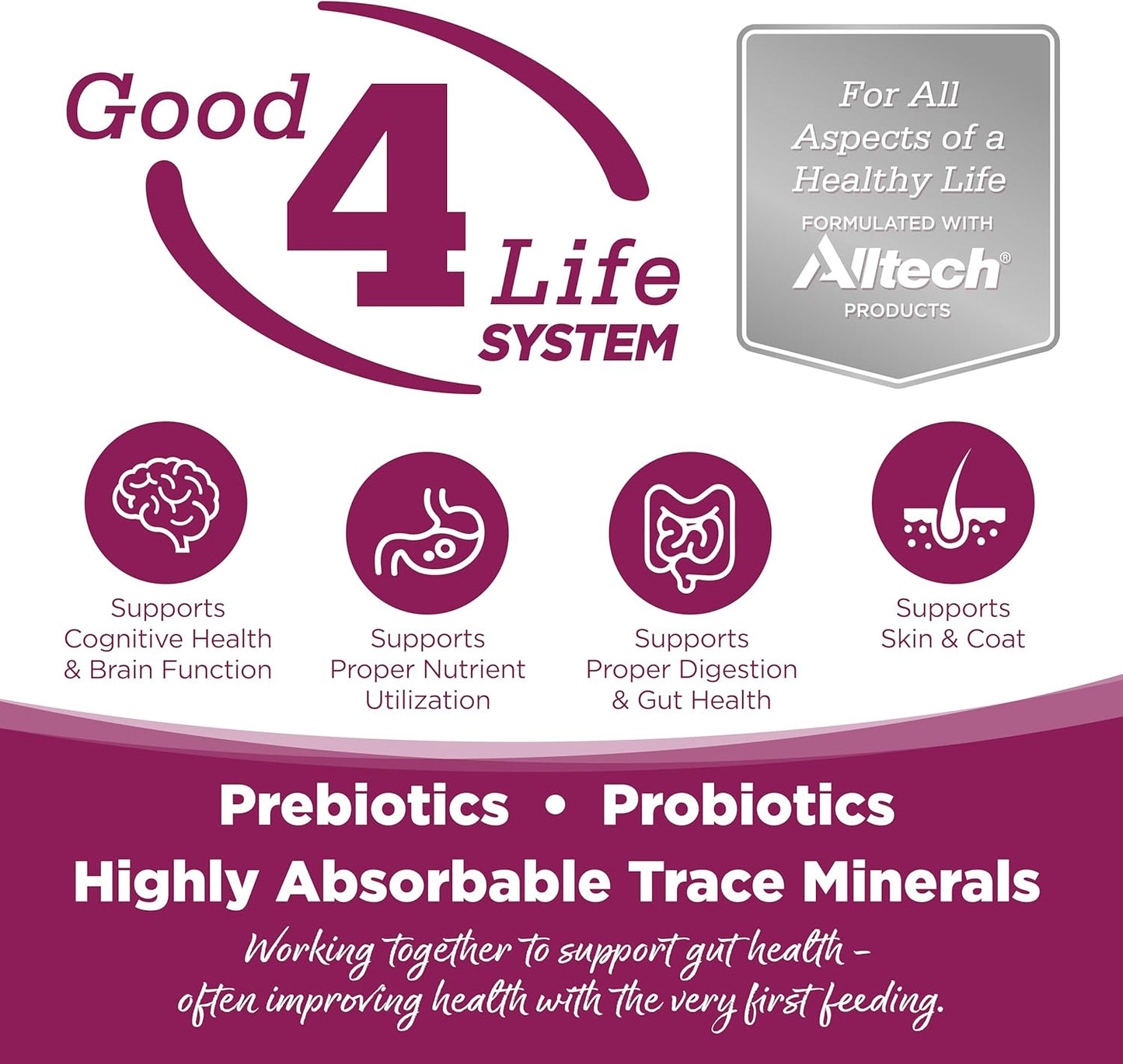 NutriSource Chicken and Rice Canned Cat Food - 5.5 oz (Pack of 12)