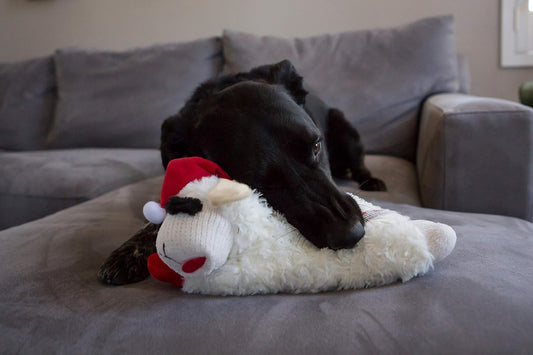 Multipet Standing Holiday Lamb Chop with Santa Hat (Small (8"))