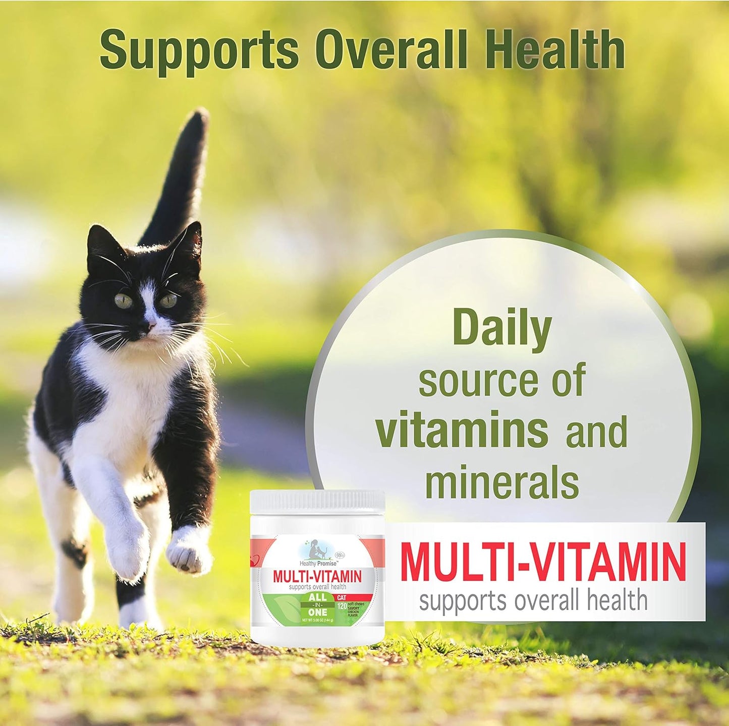 Four Paws Healthy Promise Cat Multivitamin Soft Chews - 120 Count