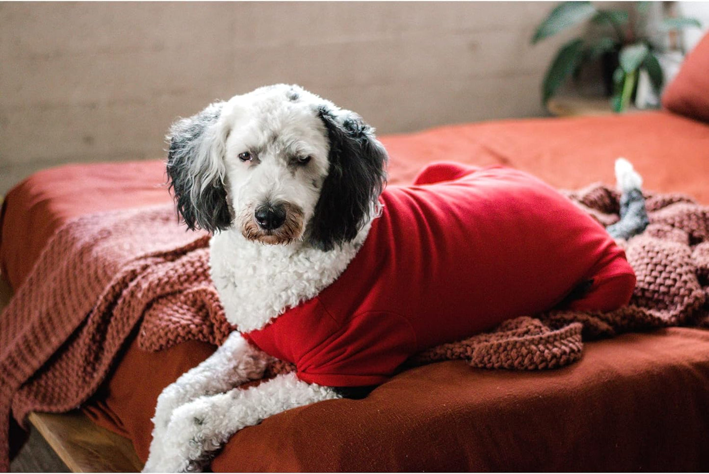 Midlee Red Dog Pajamas