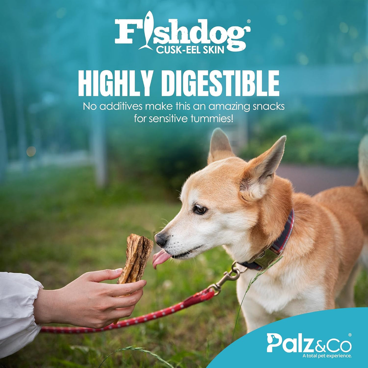 Palz&Co Fishdog Cusk-EEL Fish Skin Dog Treats 2.5oz - Wild Caught Single Ingredient Fish Chews for Dogs, Grain Free Hypoallergenic