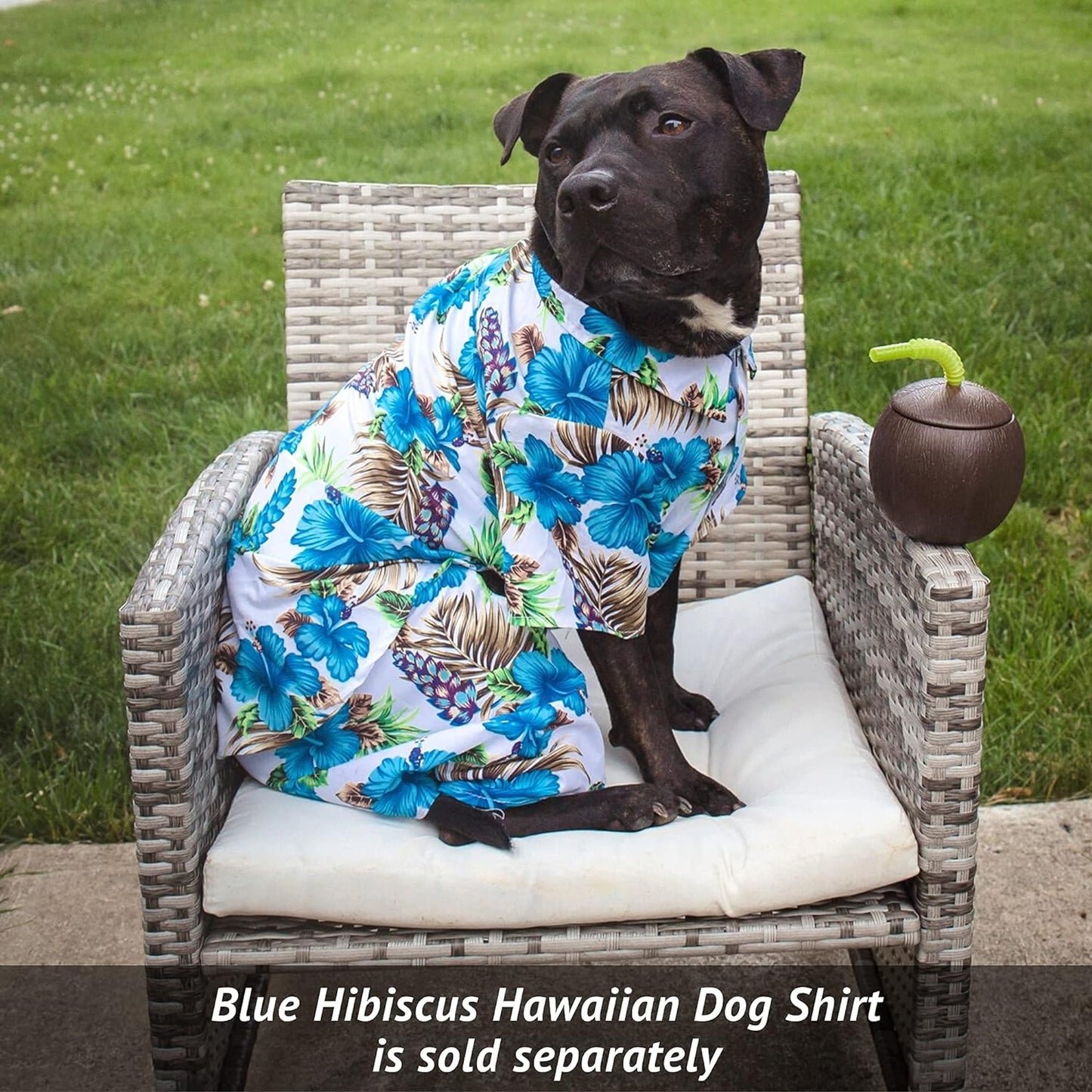 Midlee Blue Hibiscus Hawaiian Dog Board Shorts