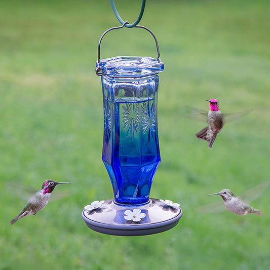 Perky Pet Sapphire Blue Vintage Glass Starburst Hummingbird Feeder - 16 oz