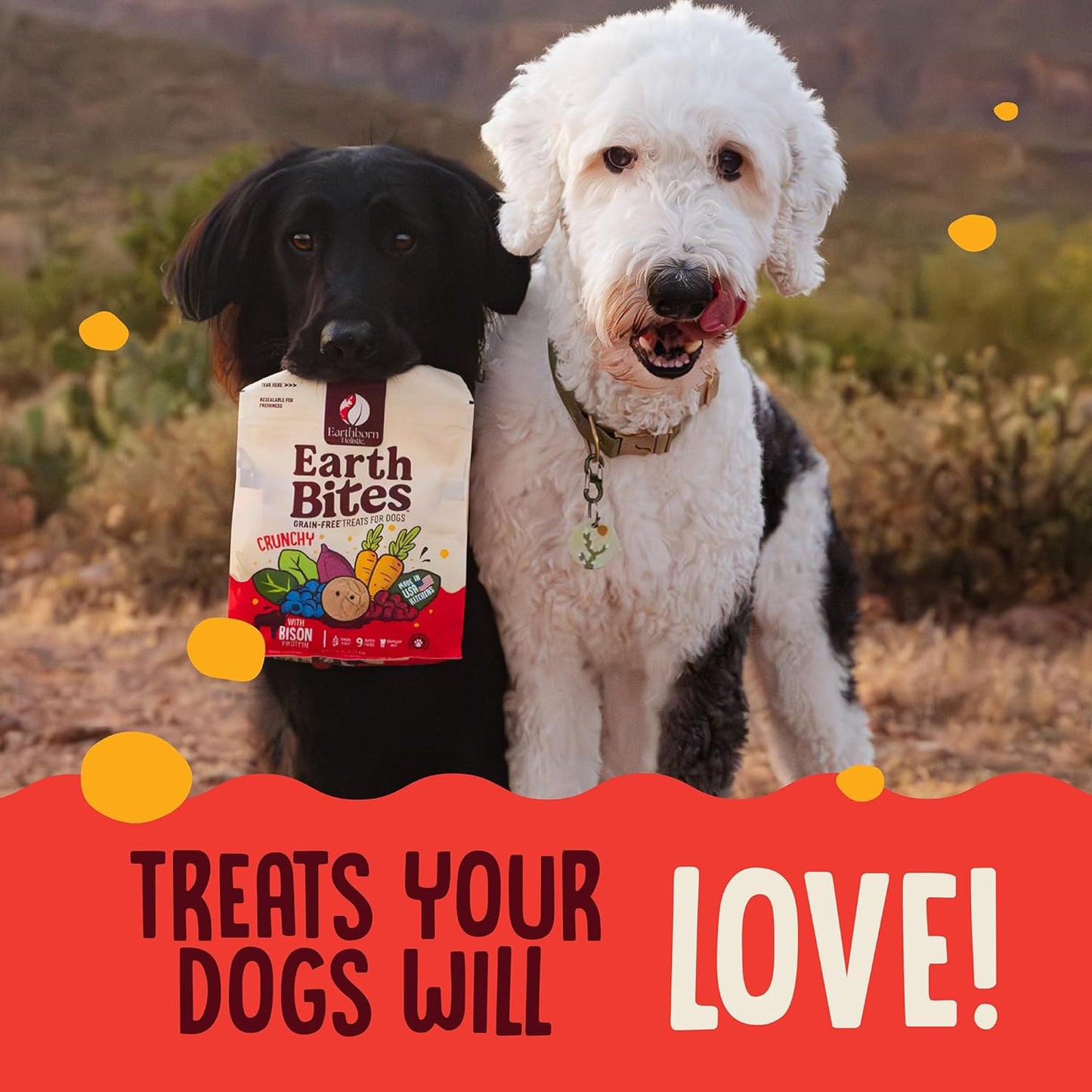 Earthborn Holistic EarthBites Bison & Pumpkin Grain-Free Crunchy Dog Treats - 10 oz