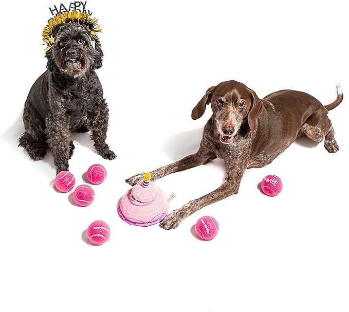 Midlee Sparkle Happy Birthday Dog Headband (Blue)