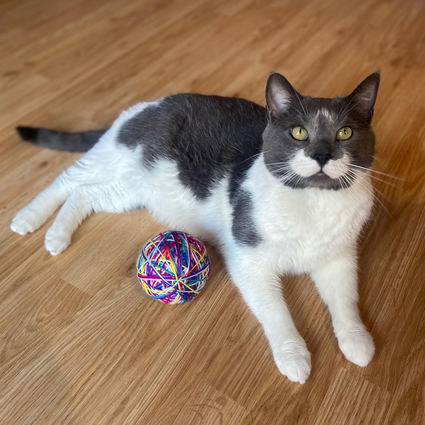 ETHICAL/SPOT Sew Much Fun Yarn Ball Cat Toys - 3.5" (1 pk)
