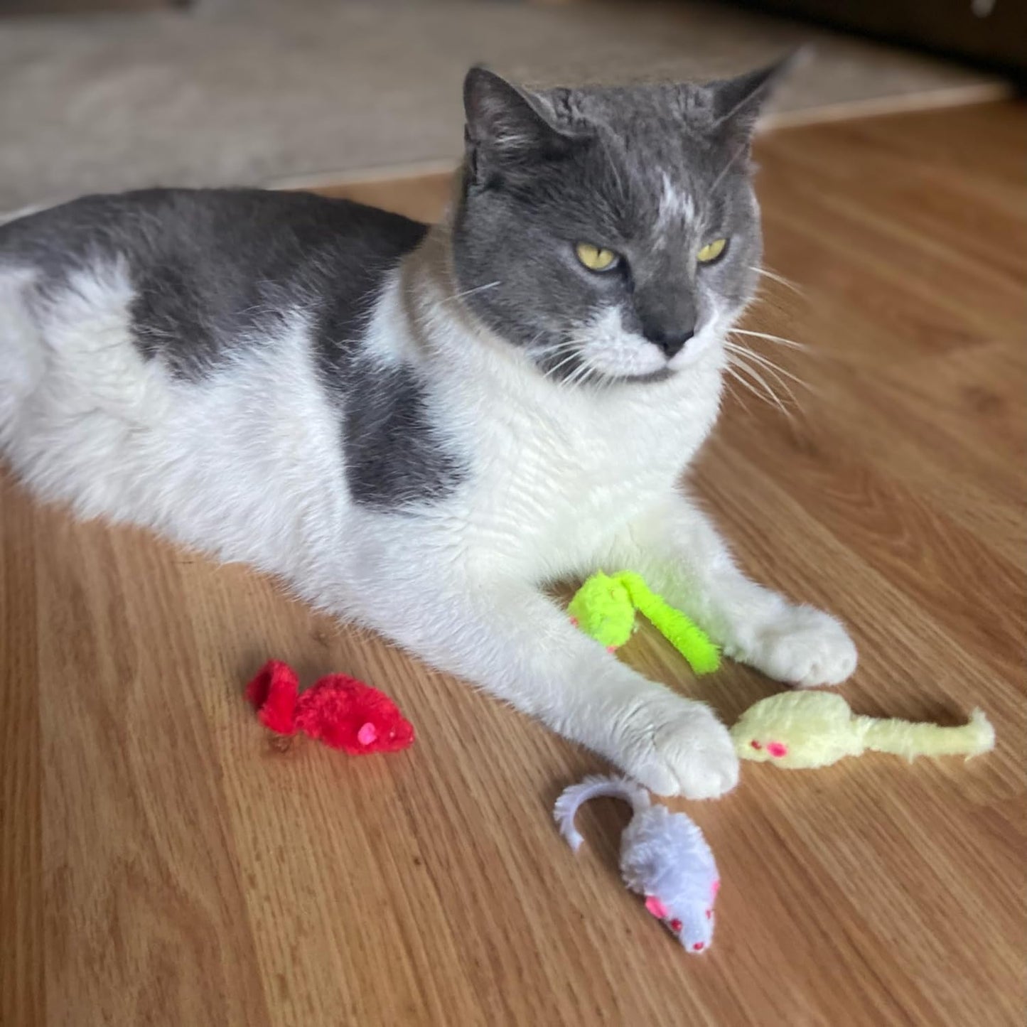 Spot Colored Plush Mice Cat Toys - 4pc