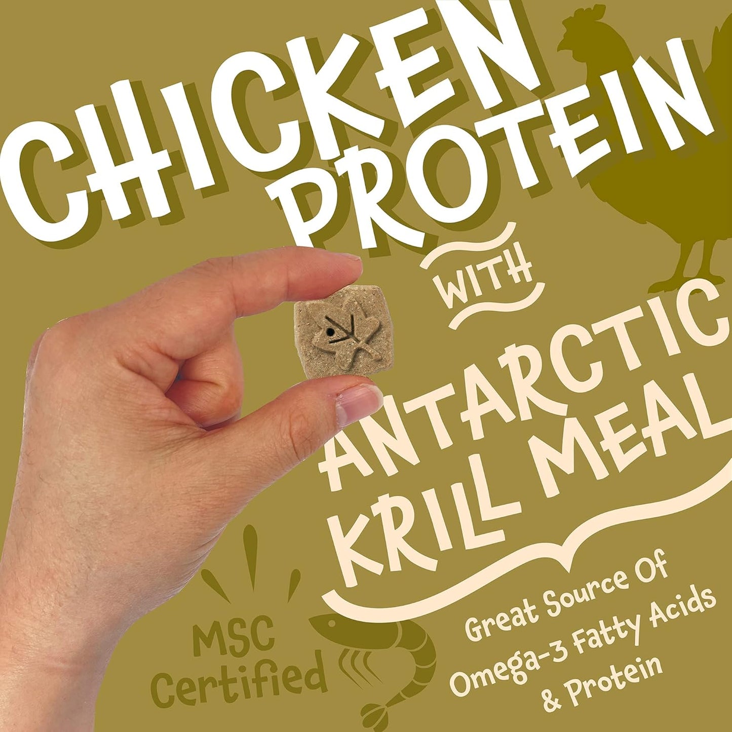 Earthborn Holistic Chicken Meal Recipe Grain-Free Oven Baked Biscuits Dog Treats - 2 lbs