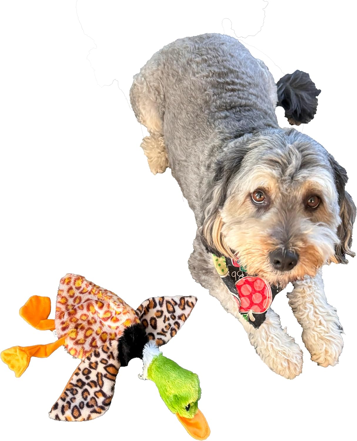 Spot Skinneeez Plush Mallard Duck Dog Toy- 14" Long- 1 Count Assorted