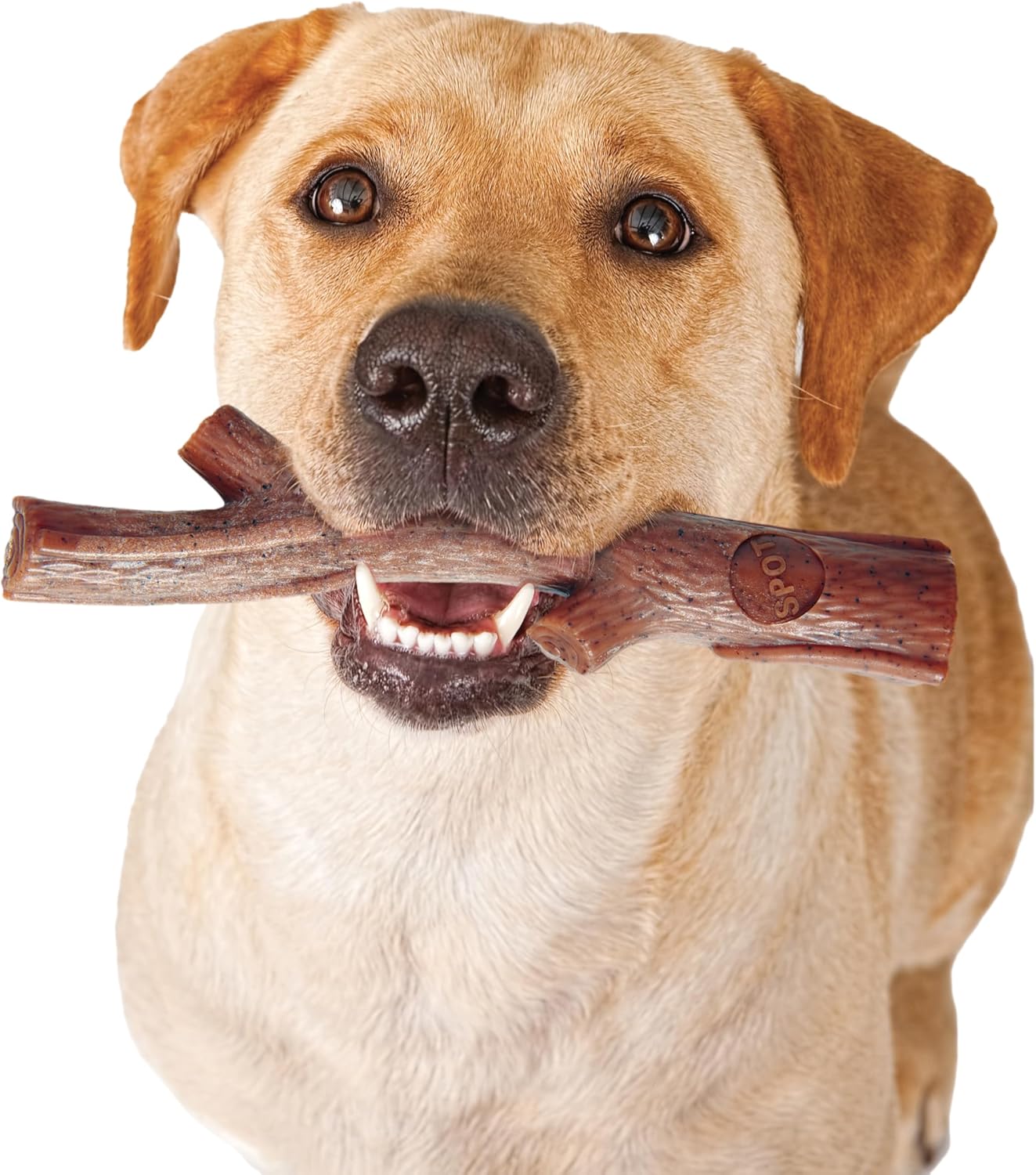 ETHICAL/SPOT Bam-Bone Plus Branch Beef Flavor Chew Toy - 9.5"