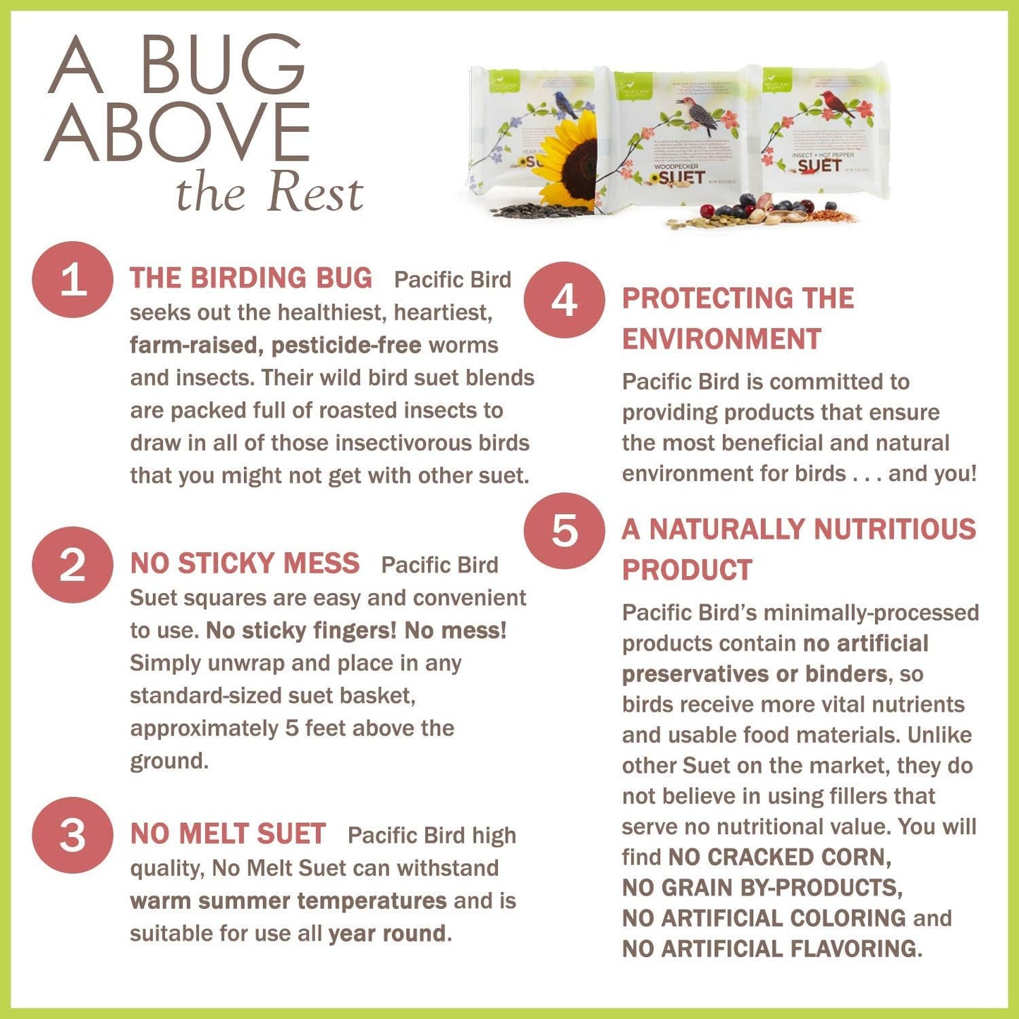 Pacific Bird & Supply Co Woodpecker Suet Cake  (Case of 12)