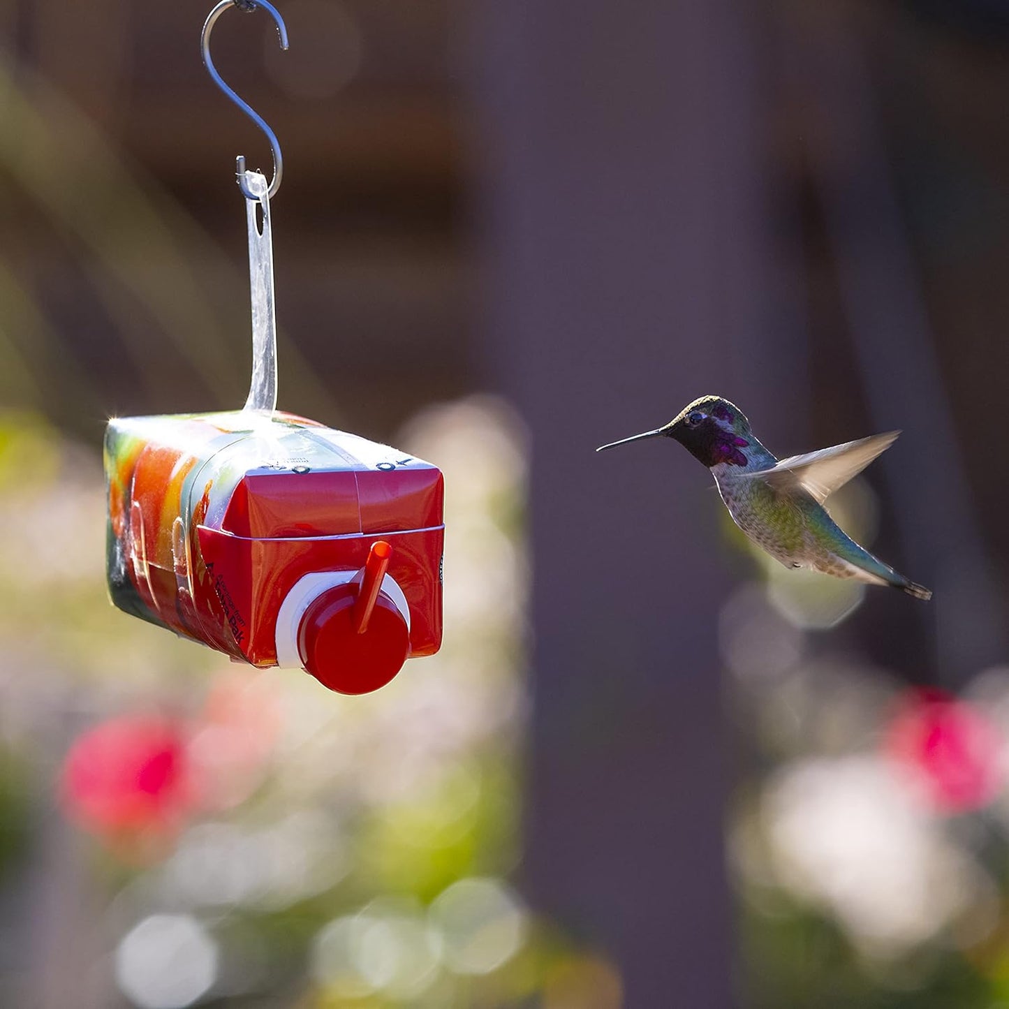 More Birds Multi Color Simply Nectar Ready To Use Hummingbird Feeder - 11 Ounce