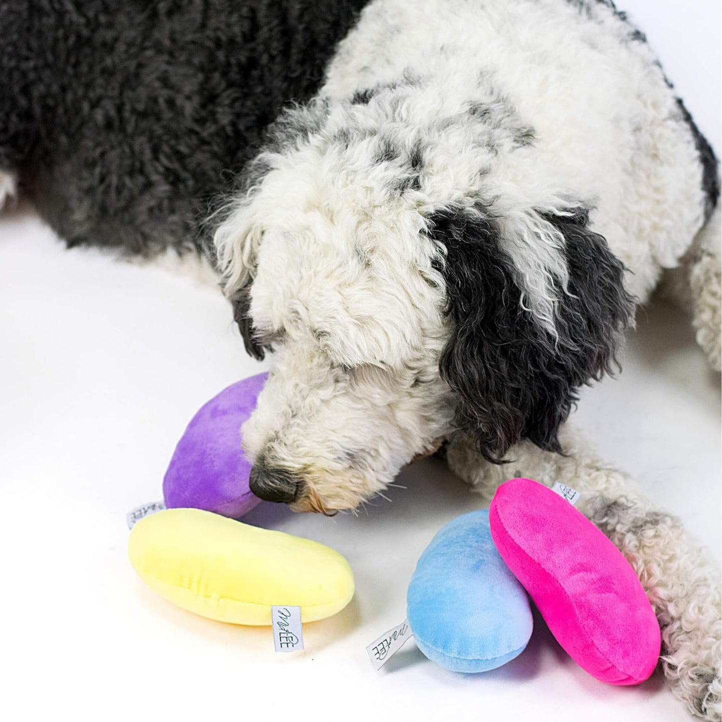Midlee Jelly Bean Easter Dog Toy- Set of 4