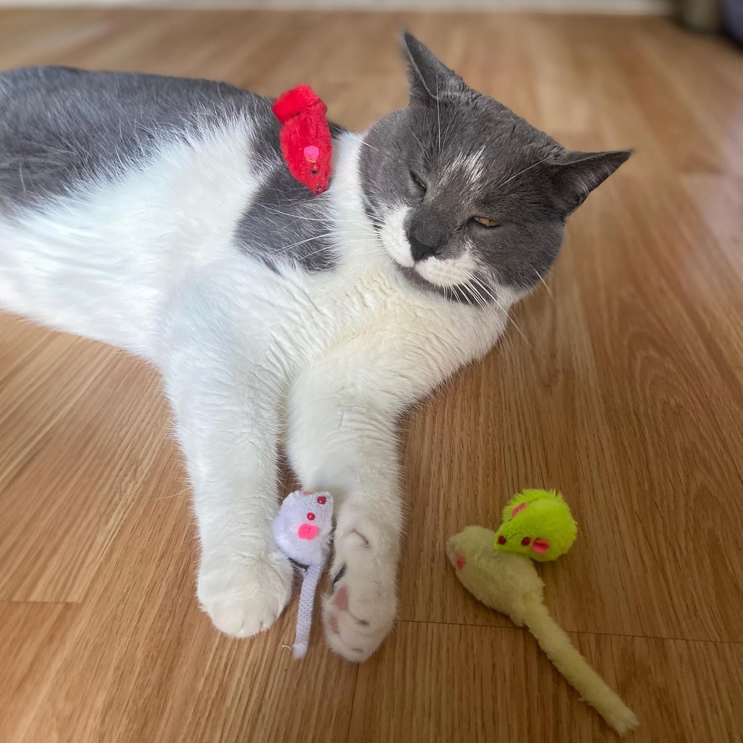 Spot Colored Plush Mice Cat Toys - 4pc