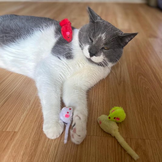 Spot Colored Plush Mice Cat Toys - 4pc