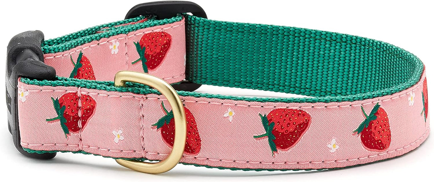 Up Country Strawberry Fields Dog Collar - 1"- Medium