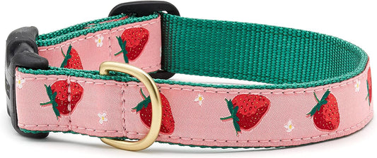 Up Country Strawberry Fields Dog Collar - 1"- Medium