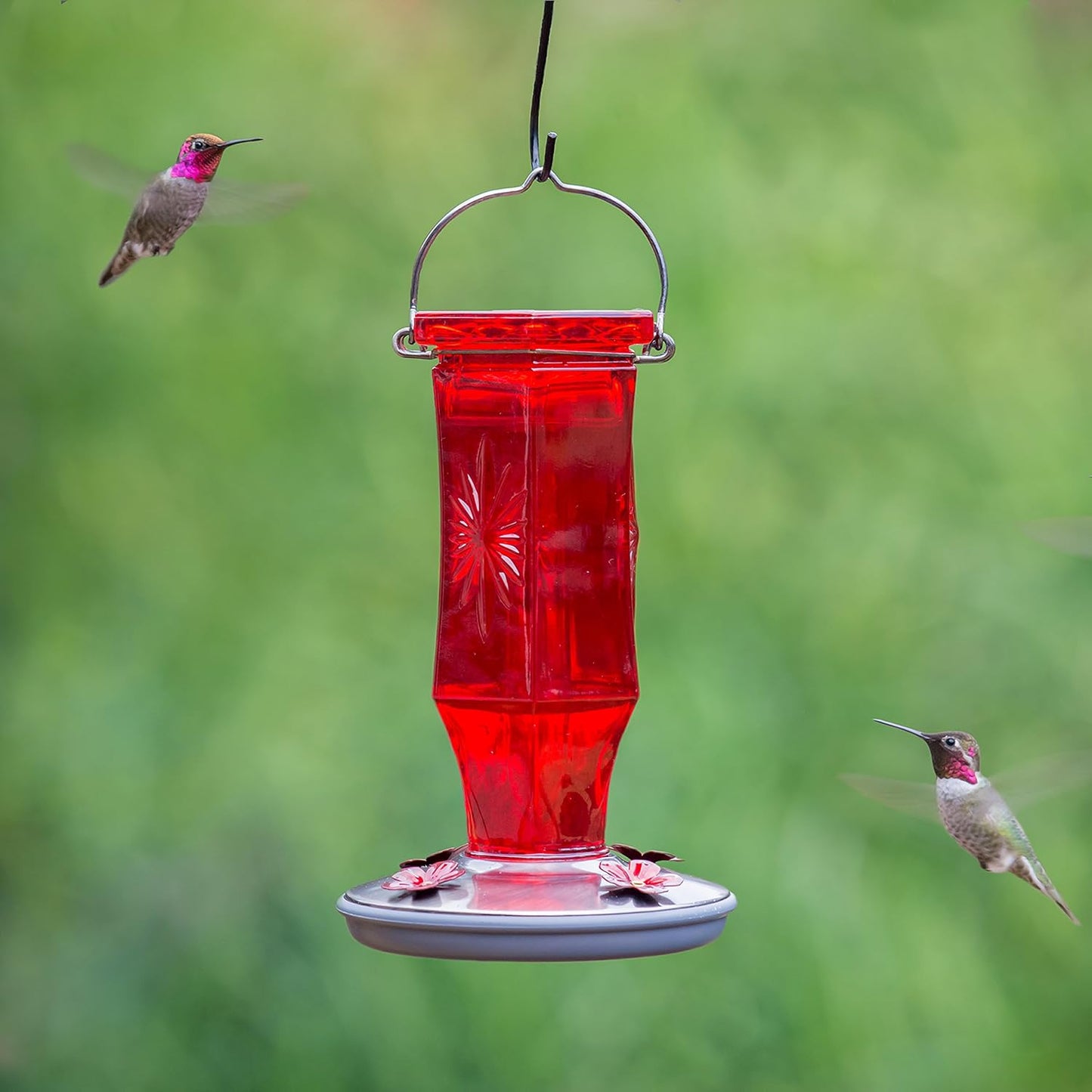 Perky-Pet Ruby Red Starburst Vintage Glass Hanging Hummingbird Feeders - 16 Oz