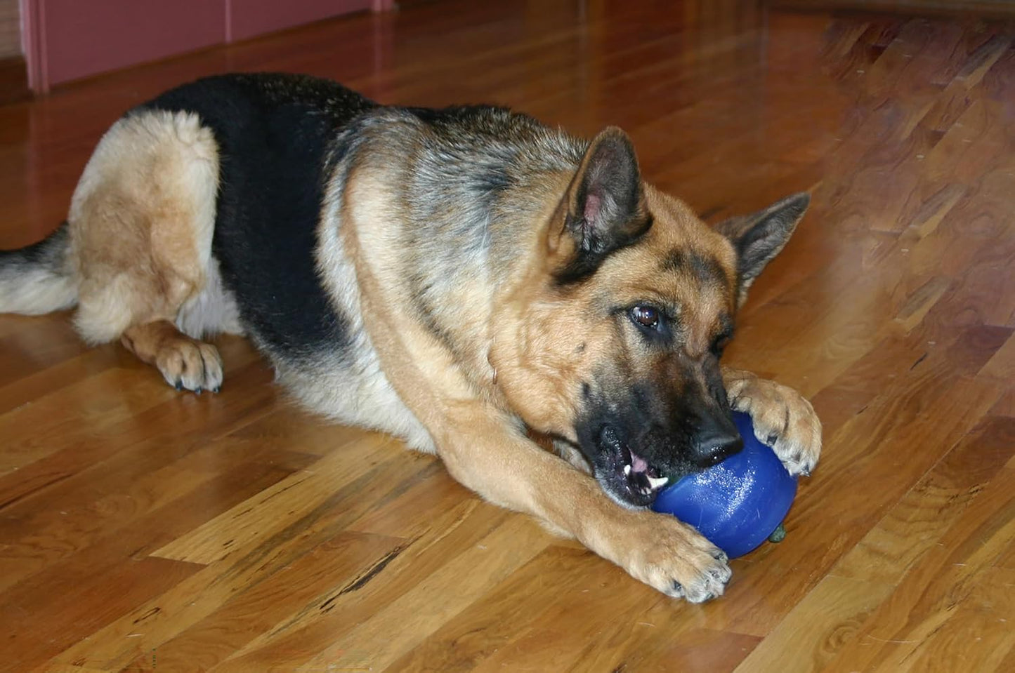 Starmark Everlasting Treat Ball with 1 Treat - Large