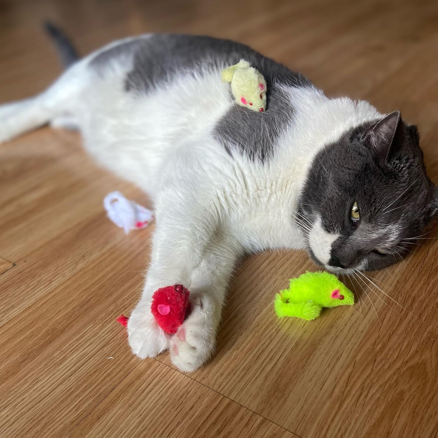 Spot Colored Plush Mice Cat Toys - 4pc