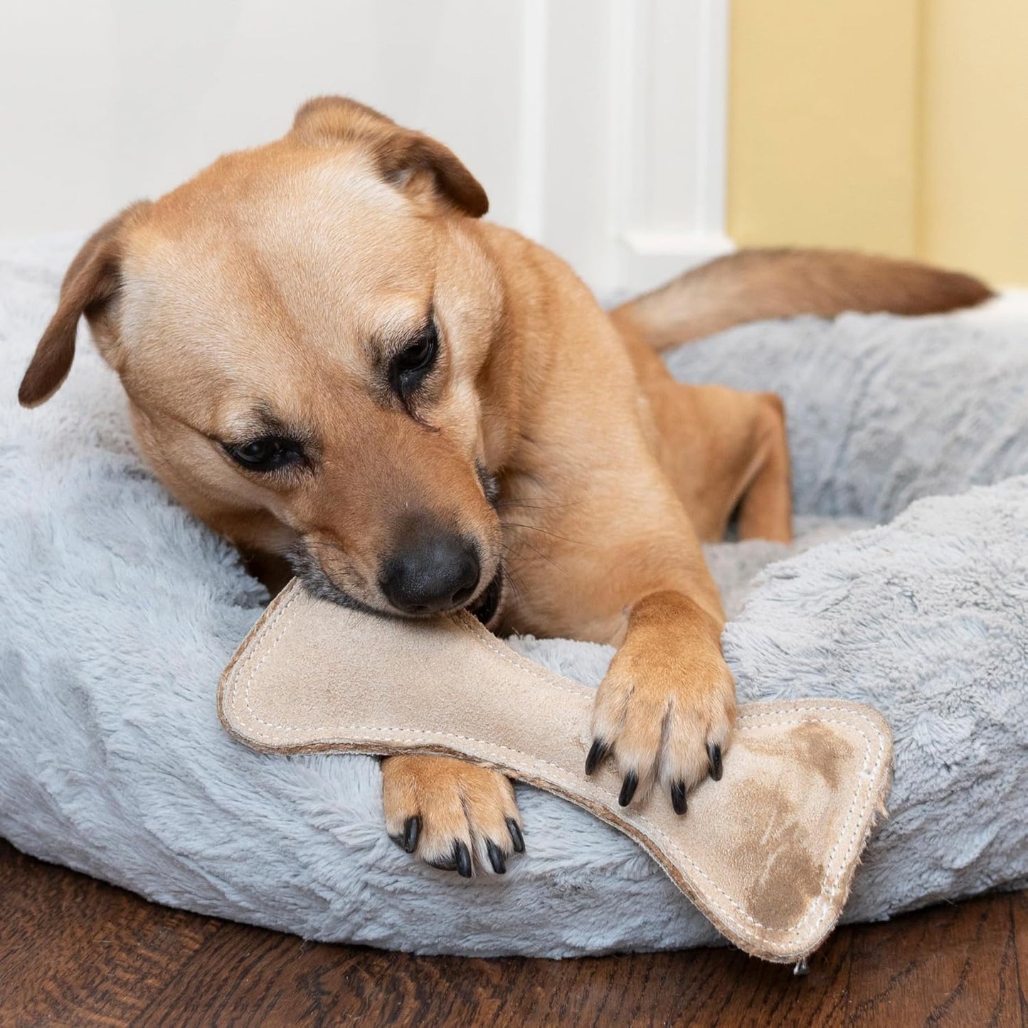 Spot Dura-Fused Leather Bone Dog Toy - 9"