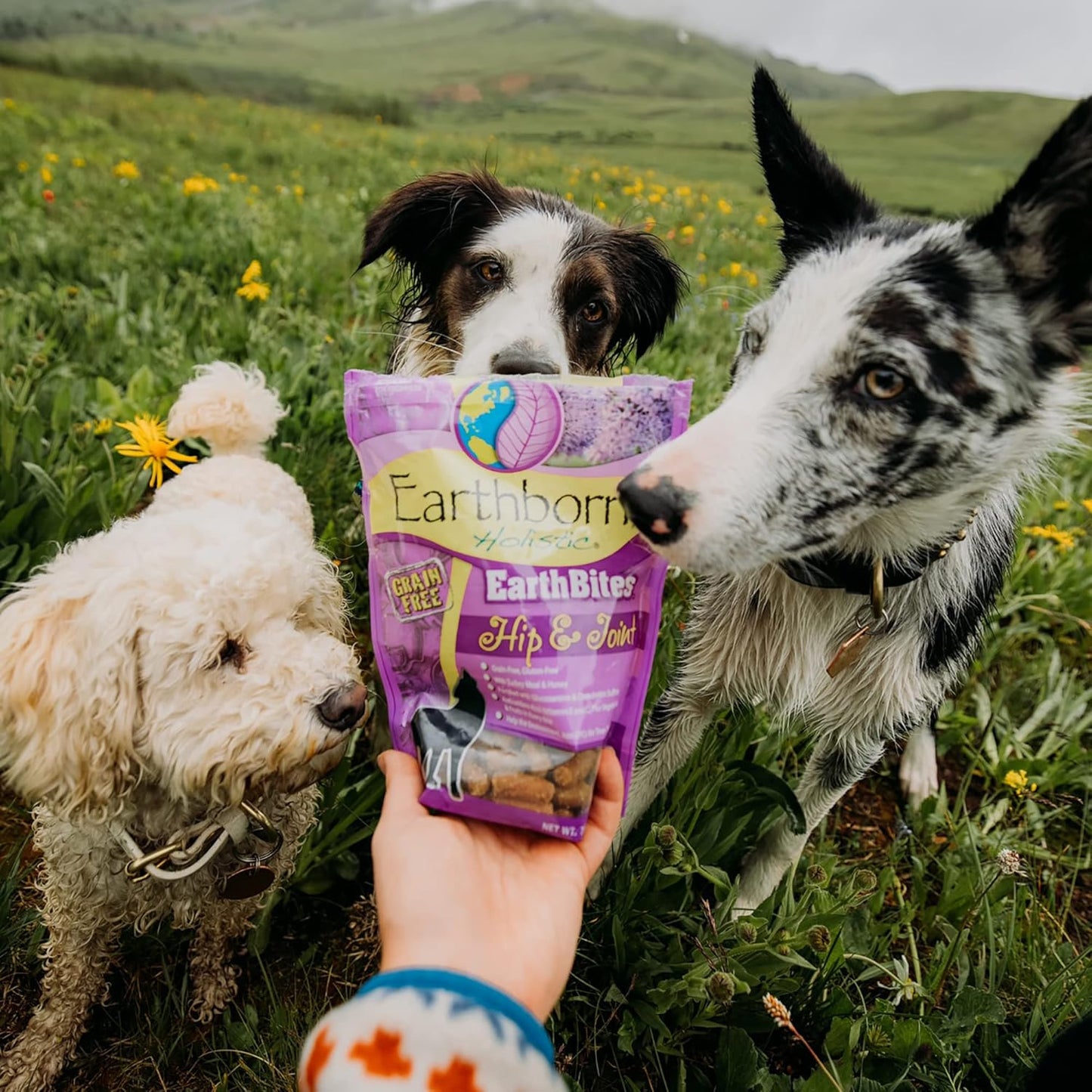 Earthborn Holistic EarthBites Hip & Joint Grain-Free Moist Dog Treats - 7.5 oz
