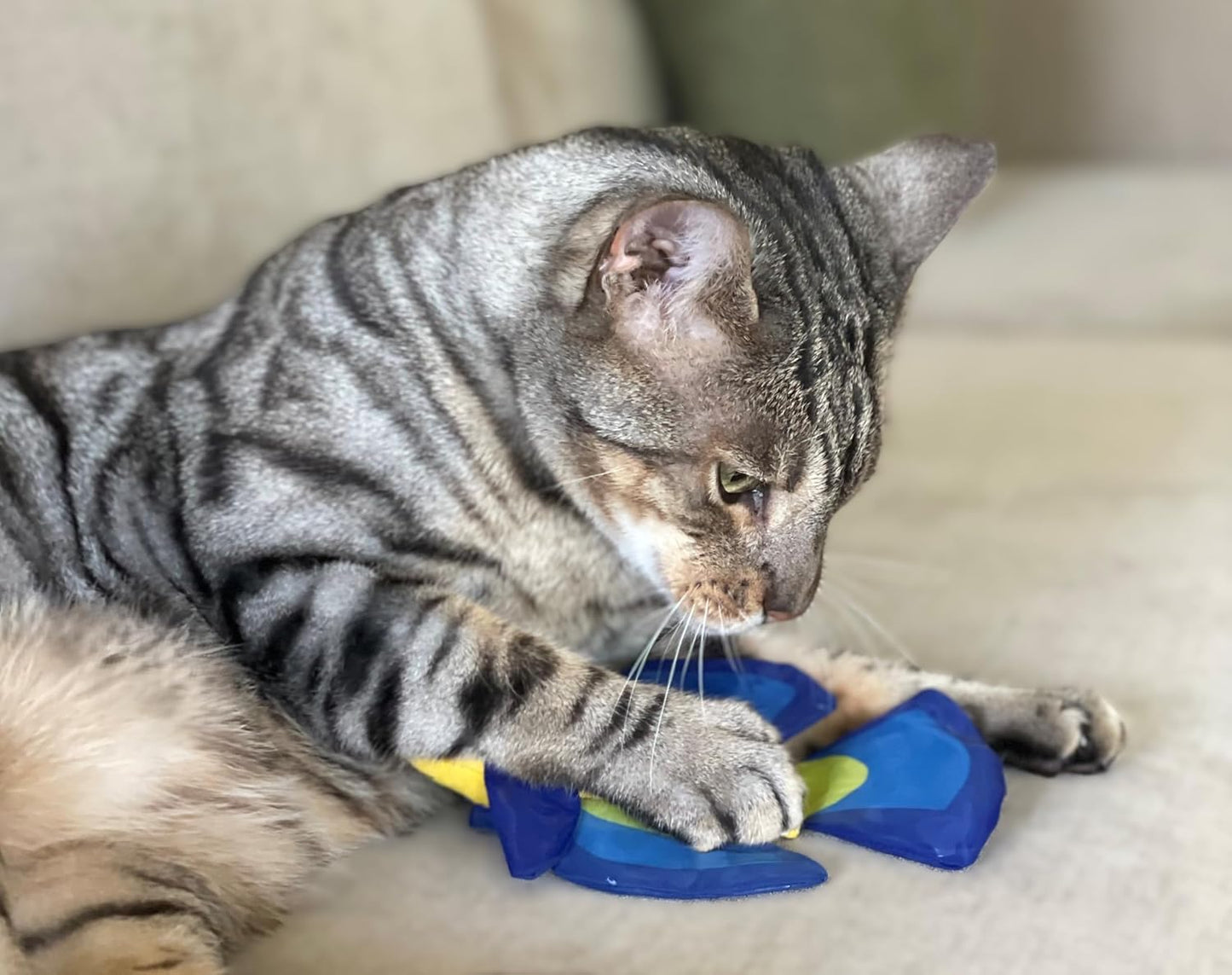 Yeowww! Mo Betta Fish Catnip Filled Cat Toy - Blue