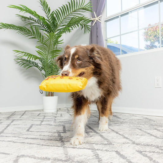 Spot Fun Candy Doggie Dudes Plush Dog Toy