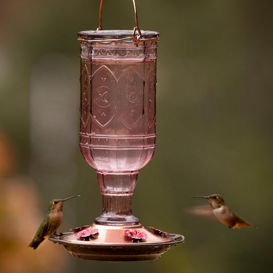 More Birds Purple Amethyst Jewel Glass Hummingbird Feeder - 20 Ounces