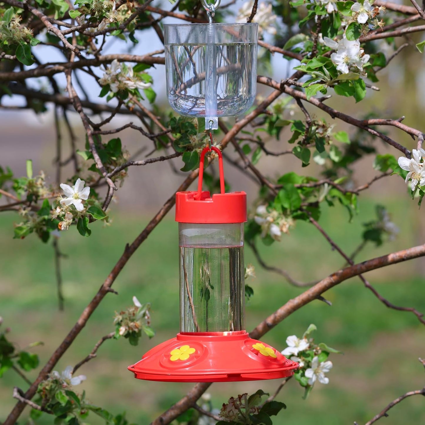 Songbird Essentials SE610 Nectar Protector-Clear/Bulk (Set of 1)