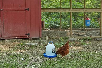 Double-Tuf Plastic Poultry Durable Hanging Waterer - 5 Quart