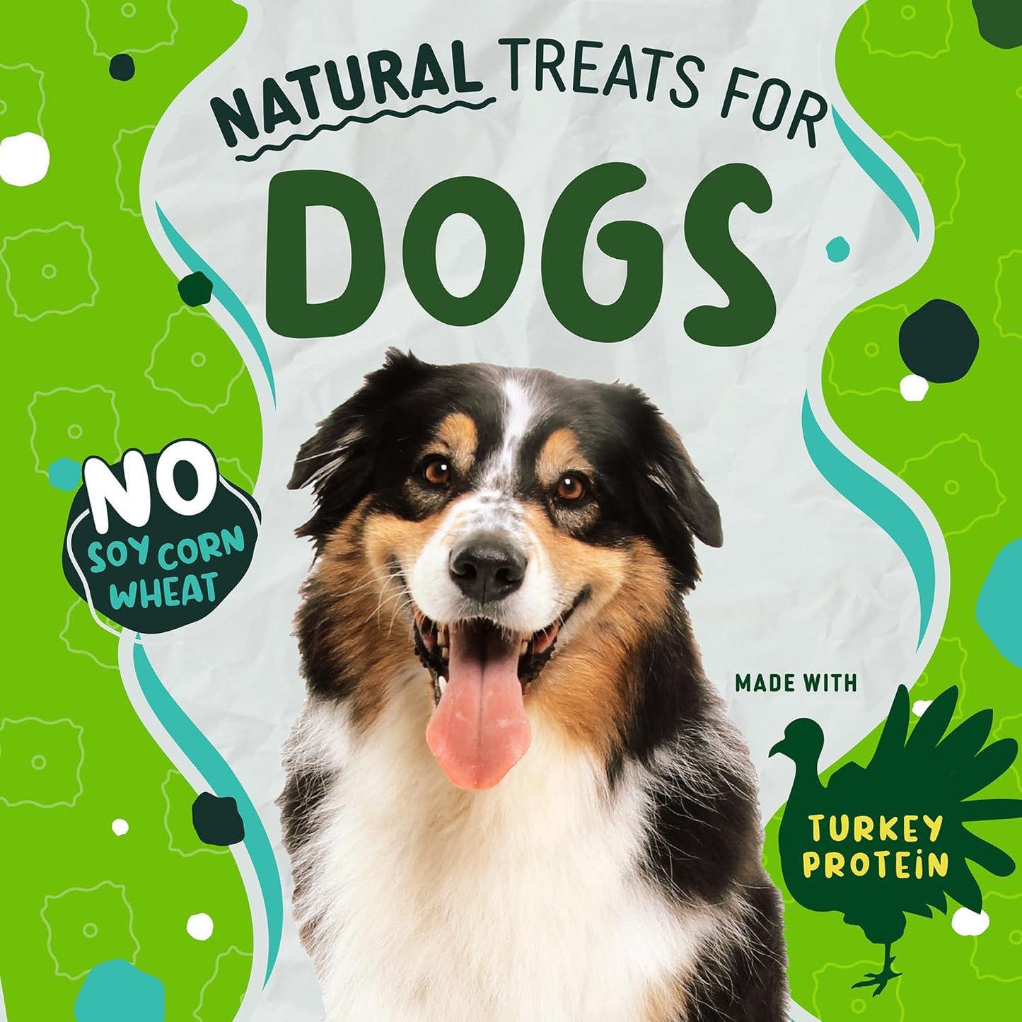 Earthborn Holistic EarthBars Turkey Protein Recipe Natural Dog Treats - 10 oz