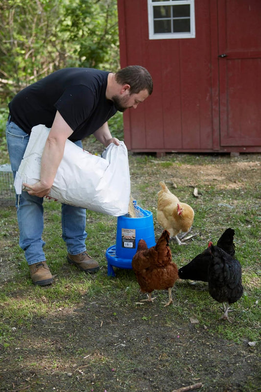 Poultry Feeder with Legs (Blue) - Durable Feeding Container with Carrying Handle for Chickens & Birds (26 Lbs)