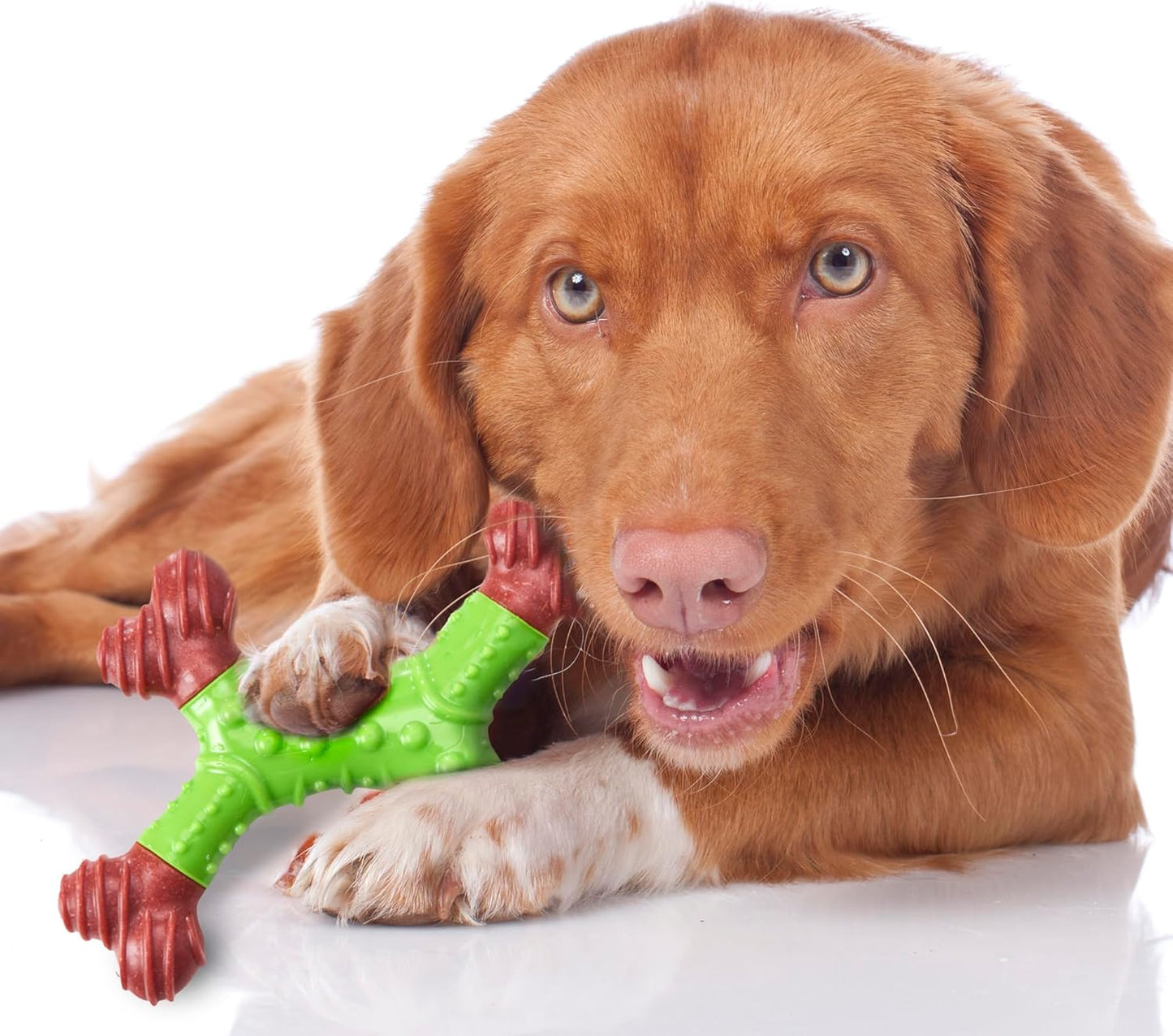 ETHICAL/SPOT Bam-Bone Dental X-Bone Apple Flavor Chew Toy - 6"